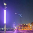 청초 | 속초 데이트 청초호수공원 속초 청초호 야경 후기