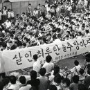 수원-1987 티스토리