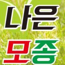 밀양루(RO)