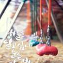 캘리송 이미지