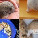 보송보송 이미지