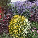 북서울요양병원 | 북서울 요양병원 ★ 봉사활동은 계속되다