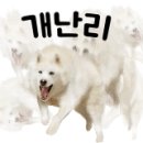 스파이더 당구클럽 이미지