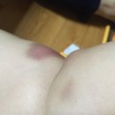 삼천포회타운 이미지
