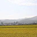 77회관