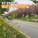 우산천변길 이미지