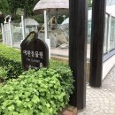 제이에이치파크 | 세종시 "베어트리파크" 이용후기 두번째