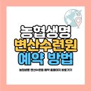 궁항로 이미지