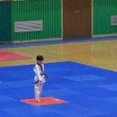 세종 고운 태권도 이미지