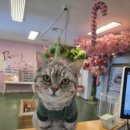 해피주 수원점 이미지