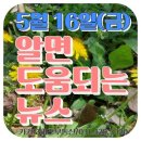 5월 16일(금) 알면 도움되는 뉴스
