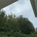 더라운지(The Lounge) 이미지
