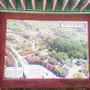 논개생가(주촌)마을 | 장수 가볼만한곳 논개 생가 &amp; 주촌민속마을 설 연휴 아이와 함께한 역사 산책