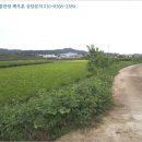 판정천 네이버블로그