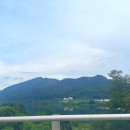 남이섬리버필드 이미지