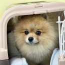 브루하하유치원 이미지