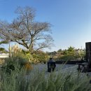 낙산로 | 제주 한경 태교여행 펜션 추천 [낙천서가] 2박3일 찐추천 조식 후기