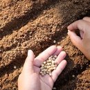 대유아그로 이미지