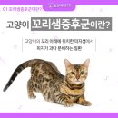 지성동물병원 이미지