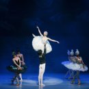 해설이 있는 발레 <백조의 호수> 이미지