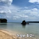 세회약국 | 팬스타 쓰시마링크호 타고 다녀온 대마도 북섬 당일치기 , 광주예투어 패키지 여행