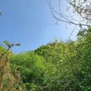 구병리 경로당 | 충북 보은 구병산 인증산행코스[충북 알프스] 2코스오름 1코스내림