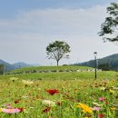 금광호수 이미지