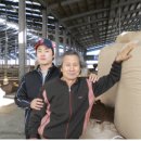 정암축산 이미지