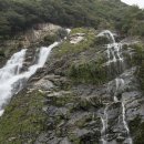 트립올라 이미지