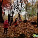 자연 유치원 이미지