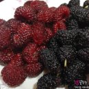 일상휴게소 네이버블로그