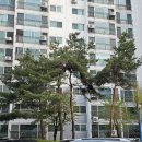 능동마을7단지앞 이미지