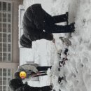 데굴데굴 이미지