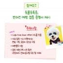 하늘하개 | 세계개의날 단 하루 강아지랑 가는 에버랜드 꿀팁, 이벤트 안내