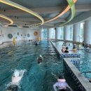 코나세르스파 이미지