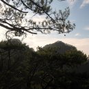 노송 Daum카페