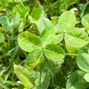 연일근린공원 이미지