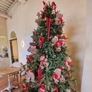 황실과 구운돌 수원지점 | 수원 크리스마스 트리 대형카페 l 아이들이 좋아하는 l 도나스데이 본점 내돈내산