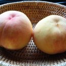 (주)스텀프월드