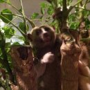 수성랜드 이미지