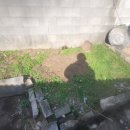 여주-0343 네이버블로그