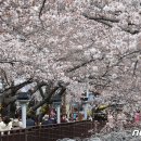 진해구 ⓒ-19 이미지