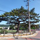 진도군 기록관 이미지