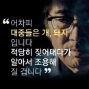 이래도 YG 불매 안한다고? 이미지