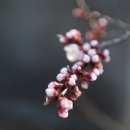 바뎅이 이미지
