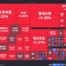 이오여행사 이미지