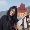 한국대중음악인연합회대구지회 이미지