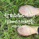 슈즈웨어 | 락피쉬웨더웨어 젤리슈즈 후기 파츠 신꾸 장마철 여름 신발 추천