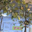 콩애향 이미지