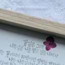 꽃쌤미꽃 이미지